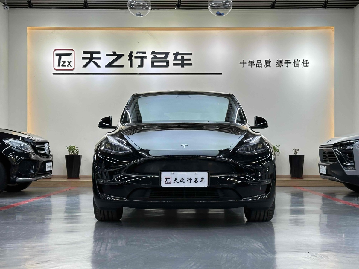 特斯拉 Model Y  2021款 改款 Performance高性能全輪驅(qū)動版圖片