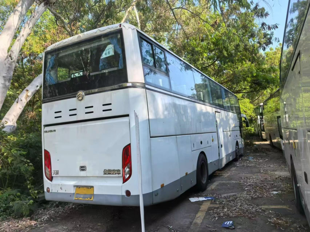 一層半55座金旅6128中門車圖片