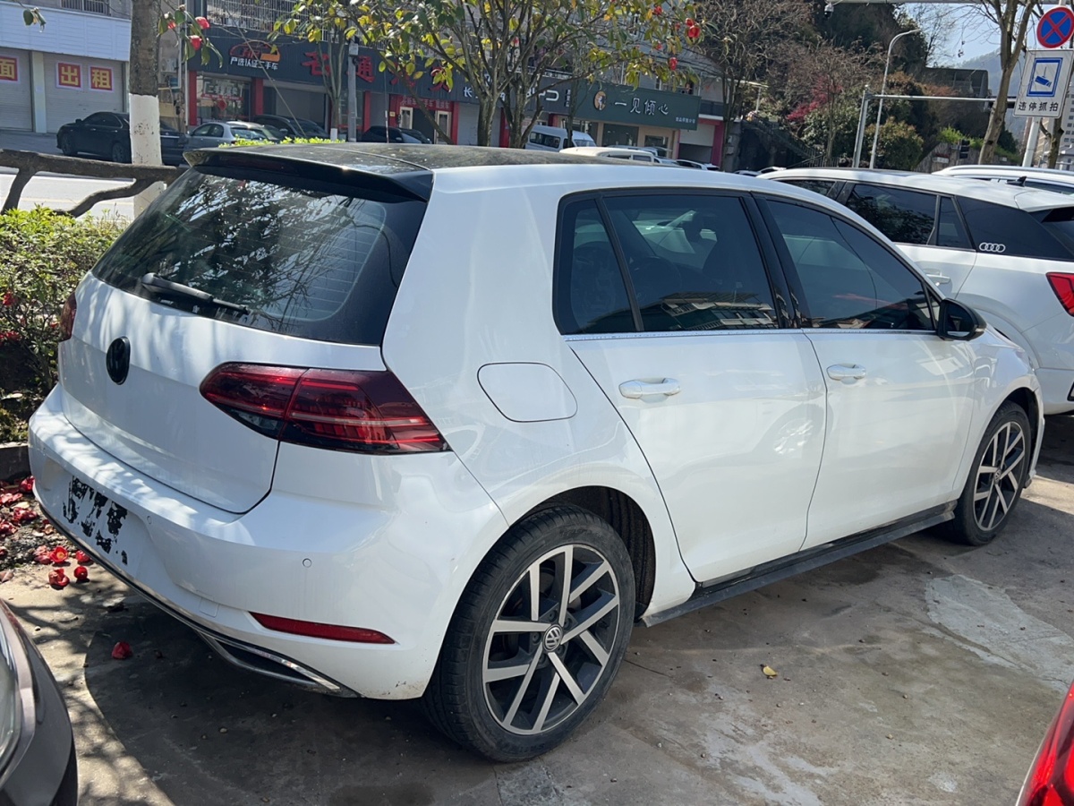 大众 高尔夫  2018款 230TSI 自动豪华型图片