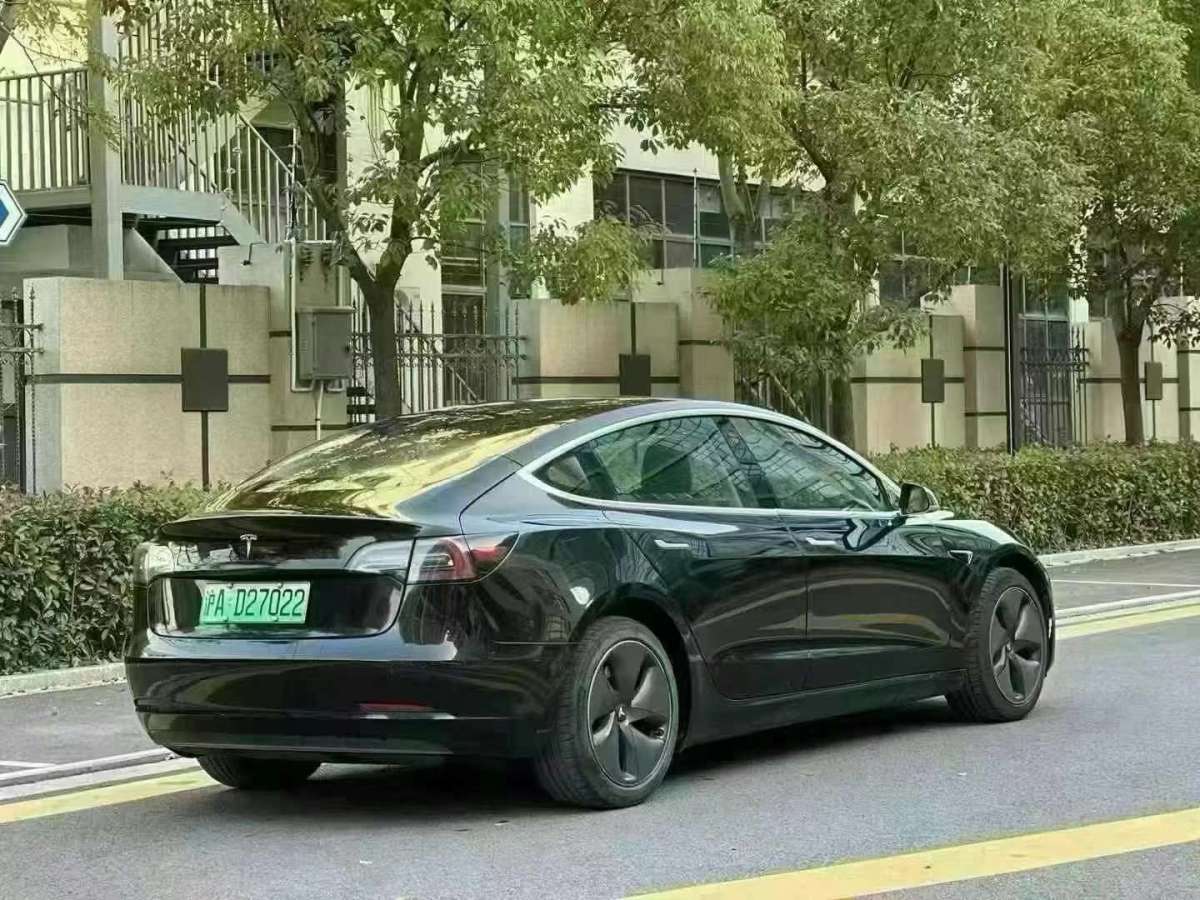 特斯拉 Model 3  2019款 長續(xù)航后驅(qū)版圖片