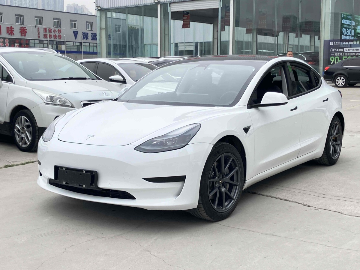 特斯拉 Model 3  2021款 標(biāo)準(zhǔn)續(xù)航后驅(qū)升級(jí)版 3D6圖片