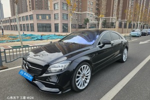 奔驰CLS级 奔驰 CLS 300 CGI