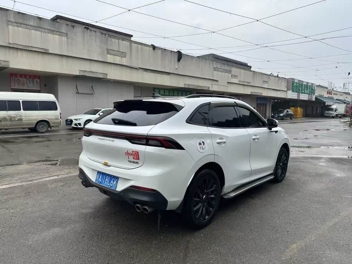 東風(fēng)風(fēng)行 風(fēng)行T5 EVO  2021款 1.5TD DCT星耀版圖片