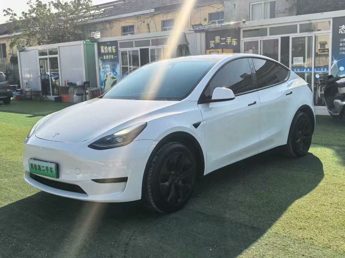 特斯拉 Model Y  2024款 Performance高性能版圖片