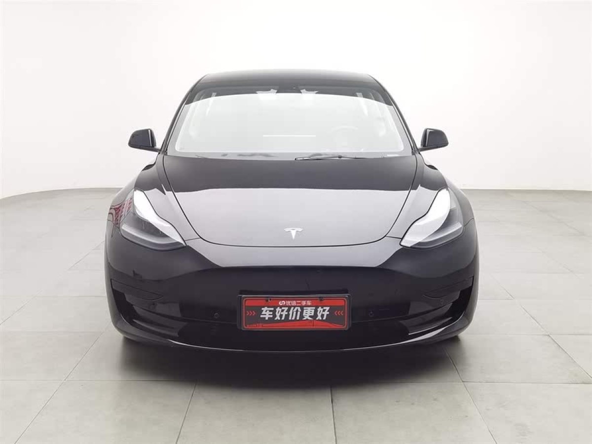 特斯拉 Model 3  2021款 標(biāo)準(zhǔn)續(xù)航后驅(qū)升級(jí)版 3D6圖片