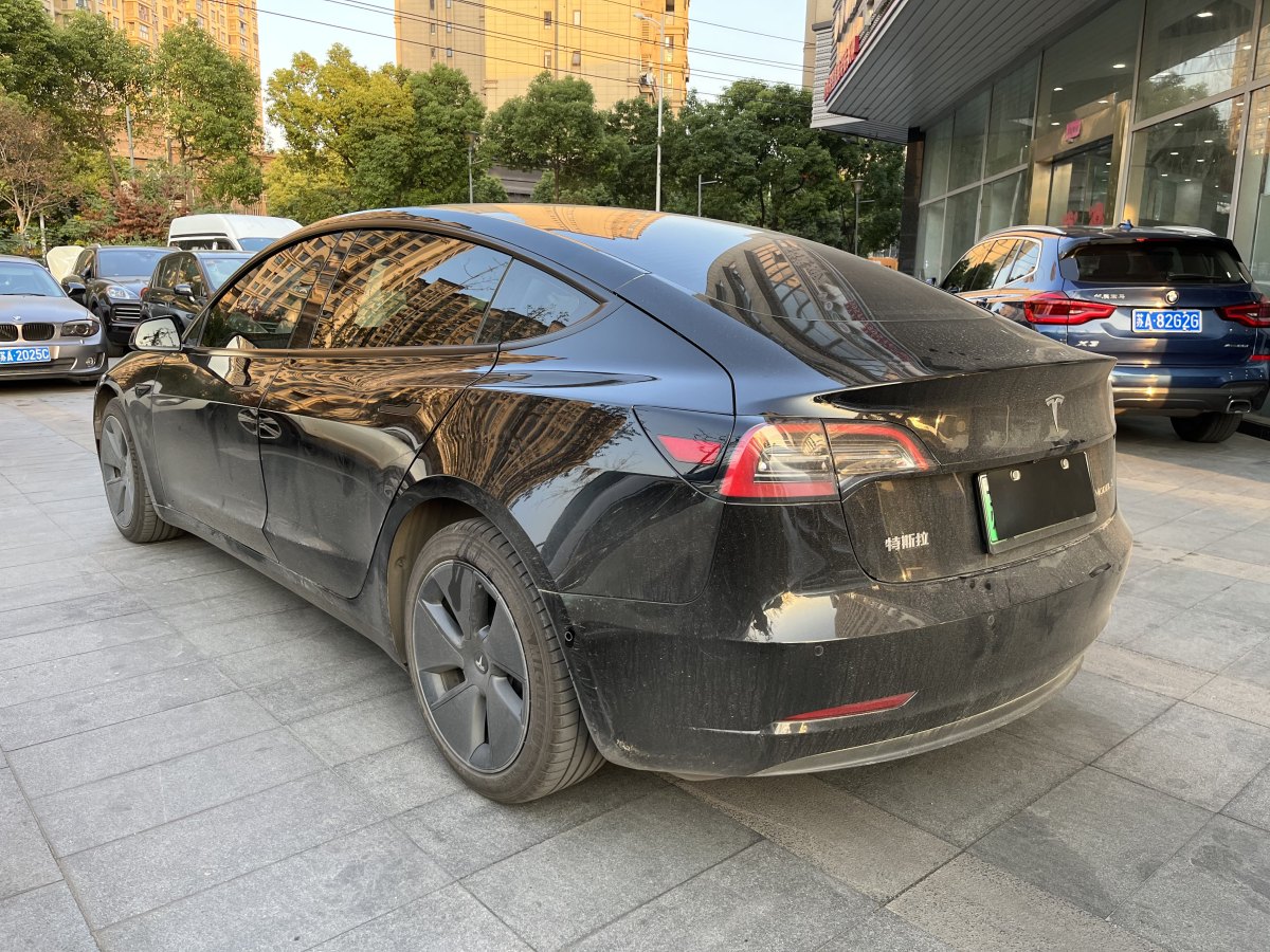 特斯拉 Model 3  2021款 標(biāo)準(zhǔn)續(xù)航后驅(qū)升級(jí)版 3D6圖片