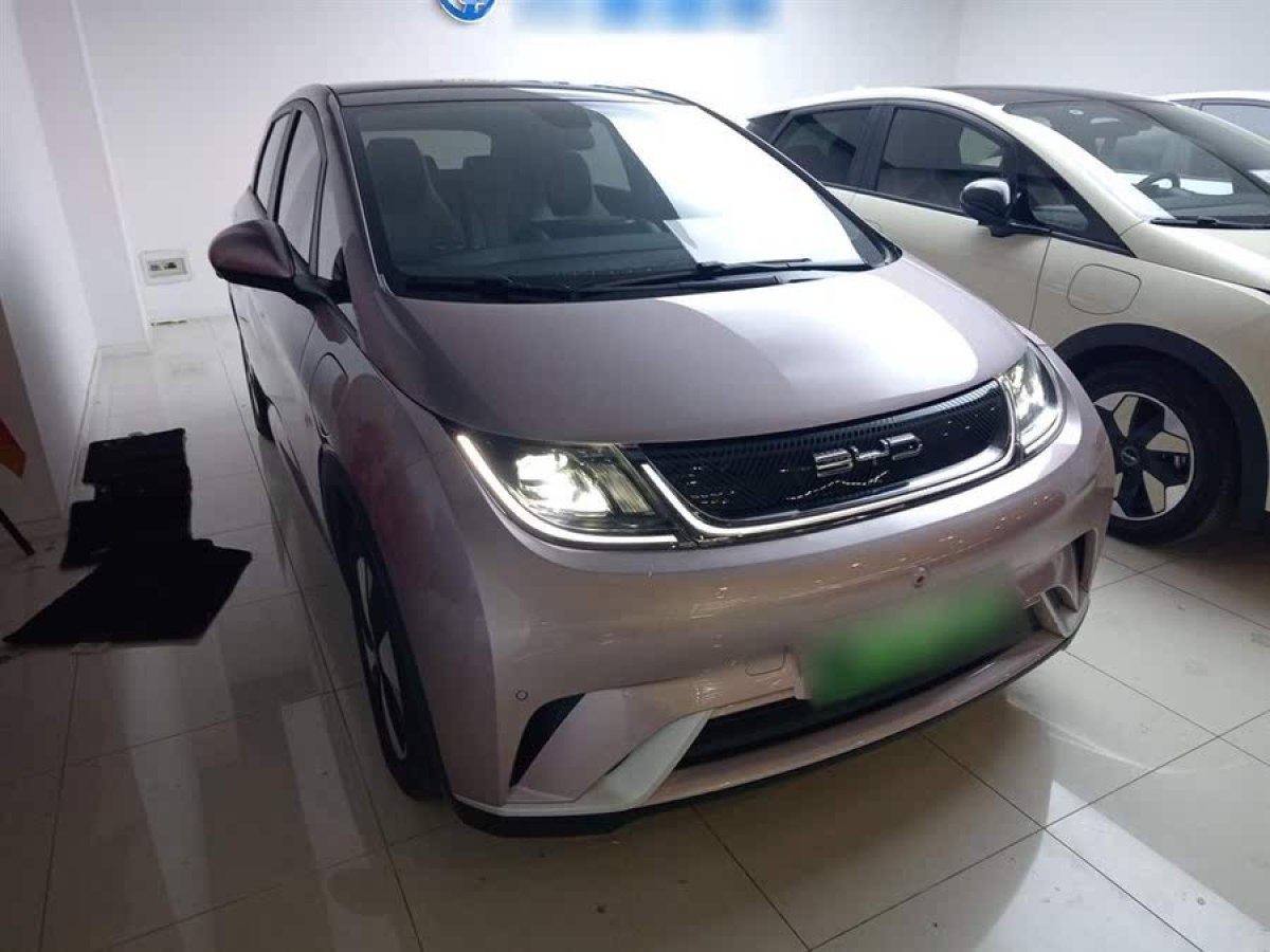 比亞迪 海豚  2023款 420km 時(shí)尚版圖片