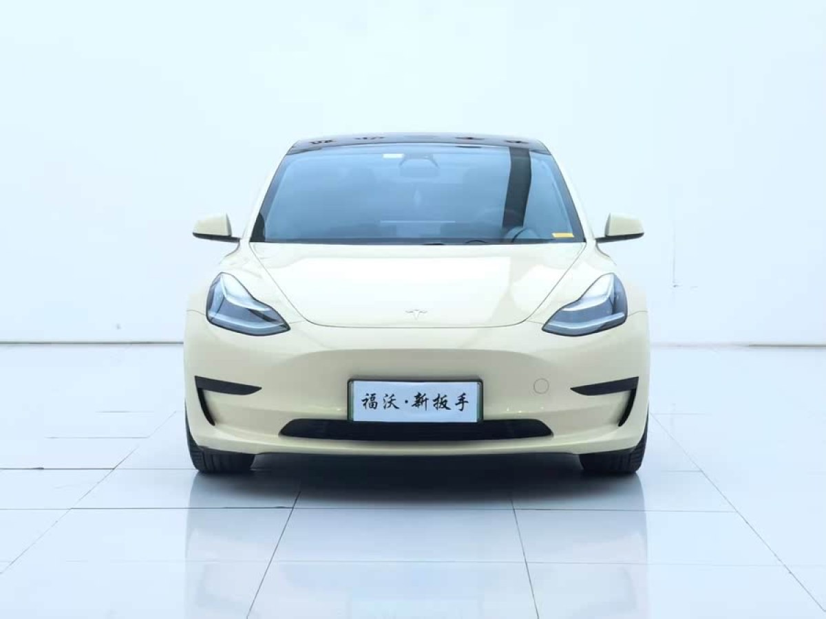 特斯拉 Model 3  2020款 改款 標準續(xù)航后驅(qū)升級版圖片
