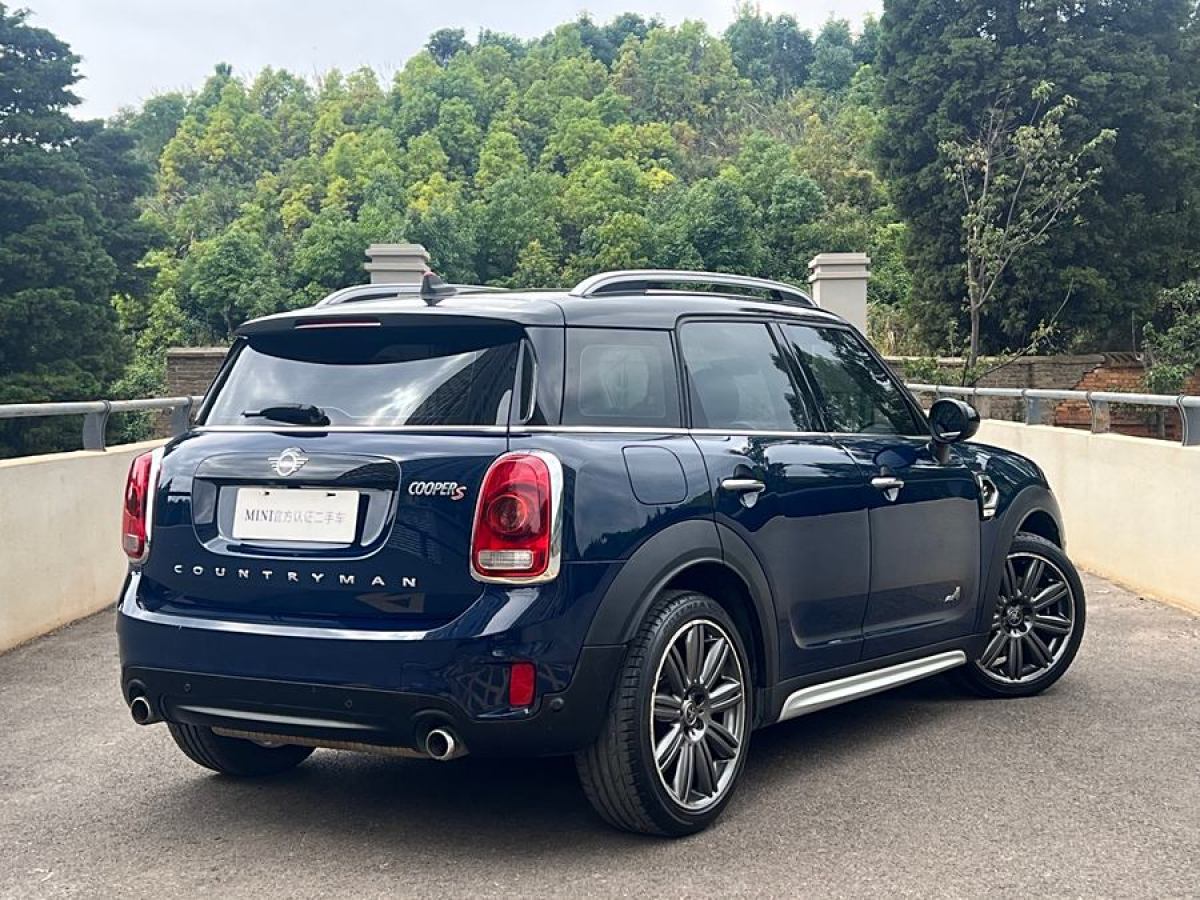 MINI COUNTRYMAN  2018款 2.0T COOPER S ALL4 藝術(shù)家圖片