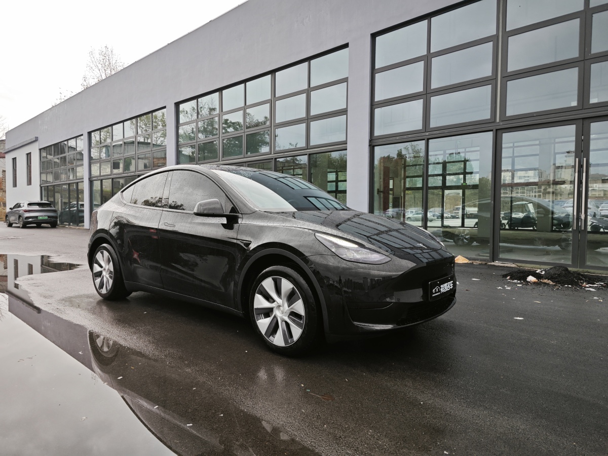 特斯拉 Model 3  2020款 改款 长续航后轮驱动版图片