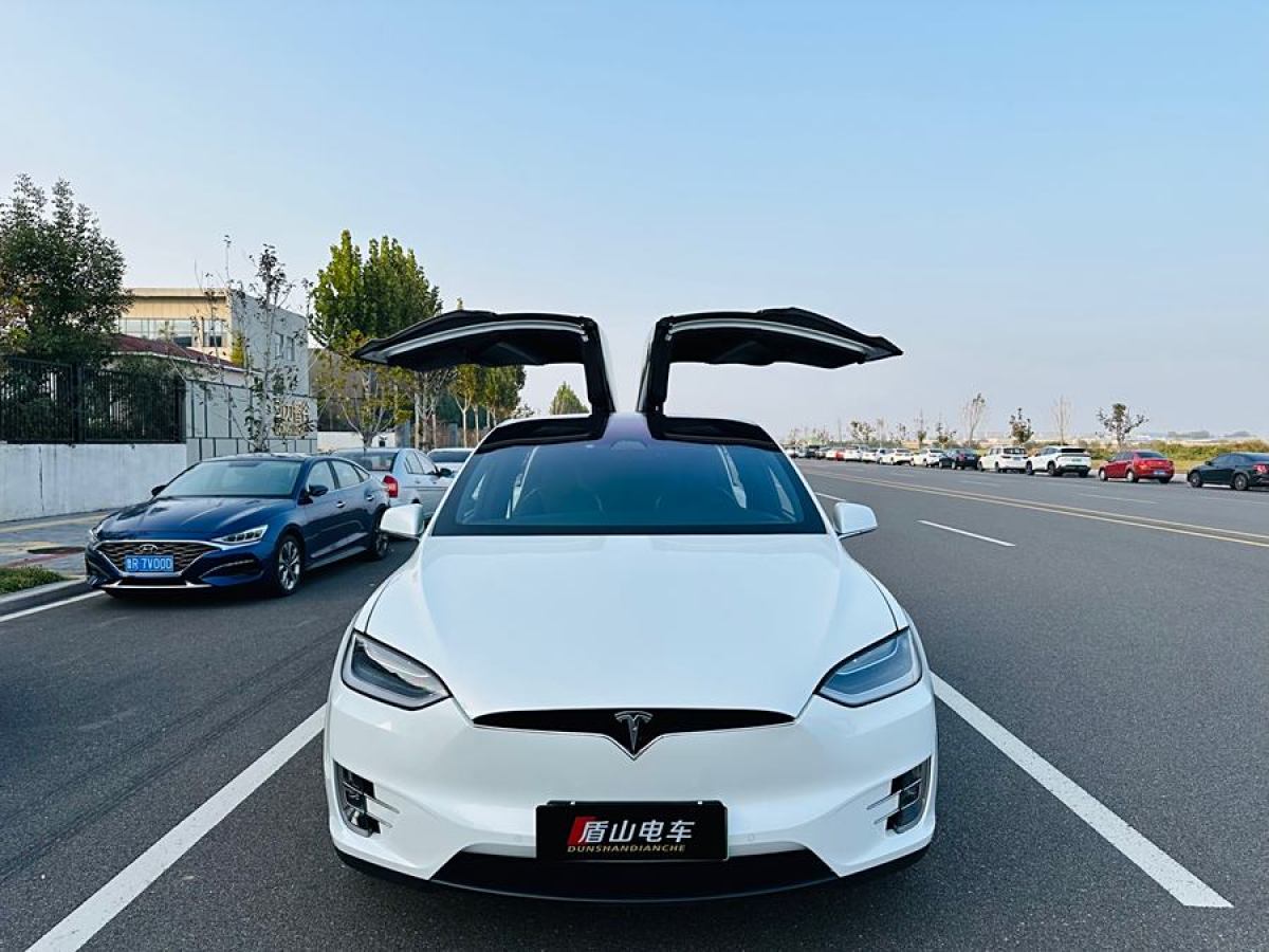 特斯拉 Model X  2019款 長(zhǎng)續(xù)航版圖片