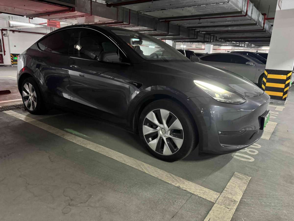 特斯拉 Model Y 2021款 長續(xù)航全輪驅(qū)動版 3D7圖片