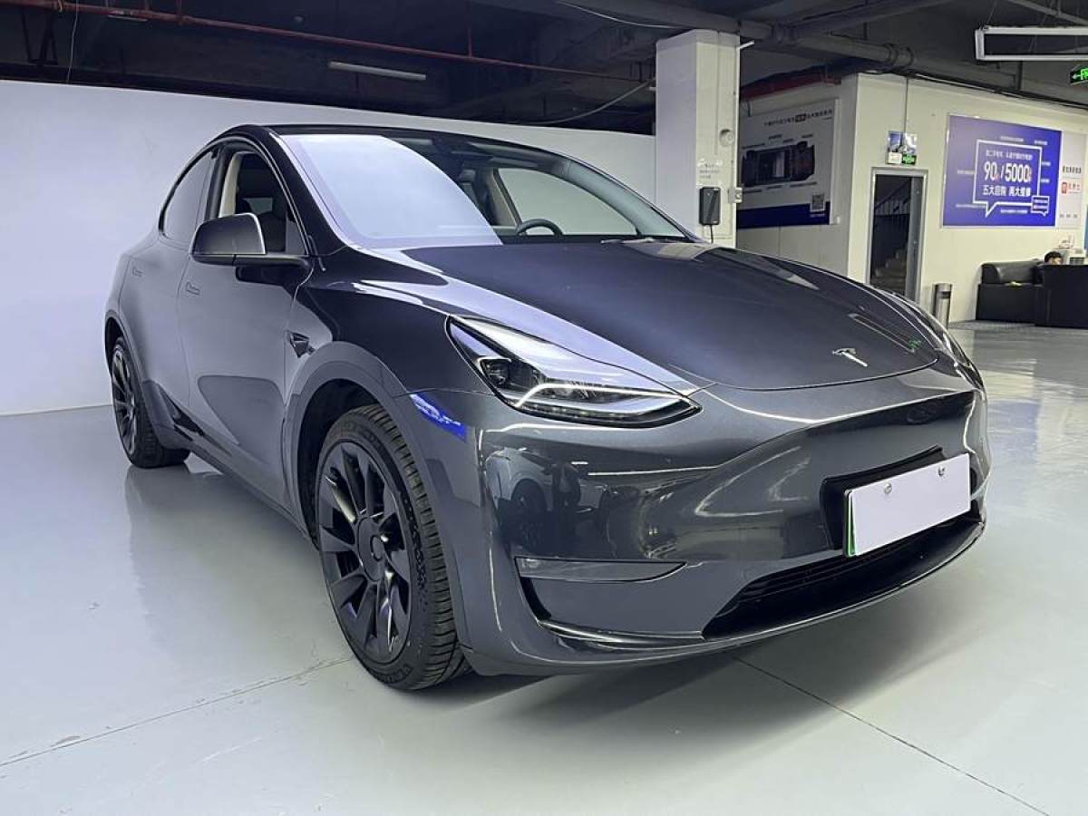 特斯拉 Model Y  2024款 長續(xù)航全輪驅(qū)動版圖片