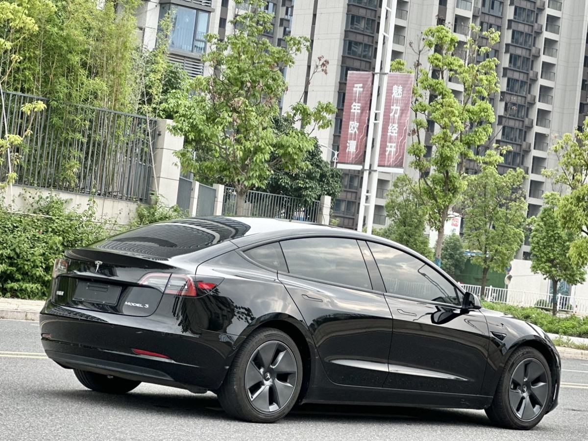 特斯拉 Model 3  2021款 標(biāo)準(zhǔn)續(xù)航后驅(qū)升級版 3D6圖片