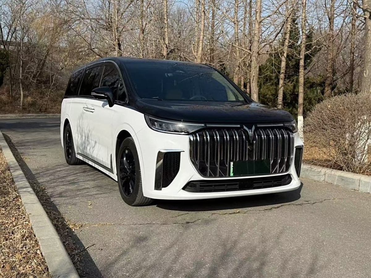 嵐圖 夢想家  2024款 PHEV 超長續(xù)航尊貴版圖片