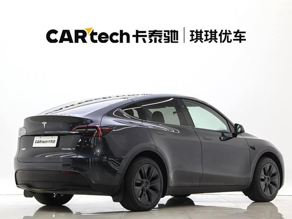 特斯拉 Model Y  2020款 改款 長續(xù)航后輪驅(qū)動(dòng)版圖片