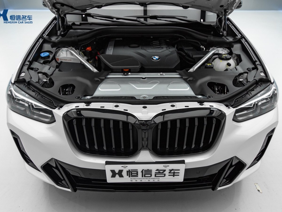 寶馬 寶馬X3  2022款 改款 xDrive30i 領(lǐng)先型 M曜夜套裝圖片