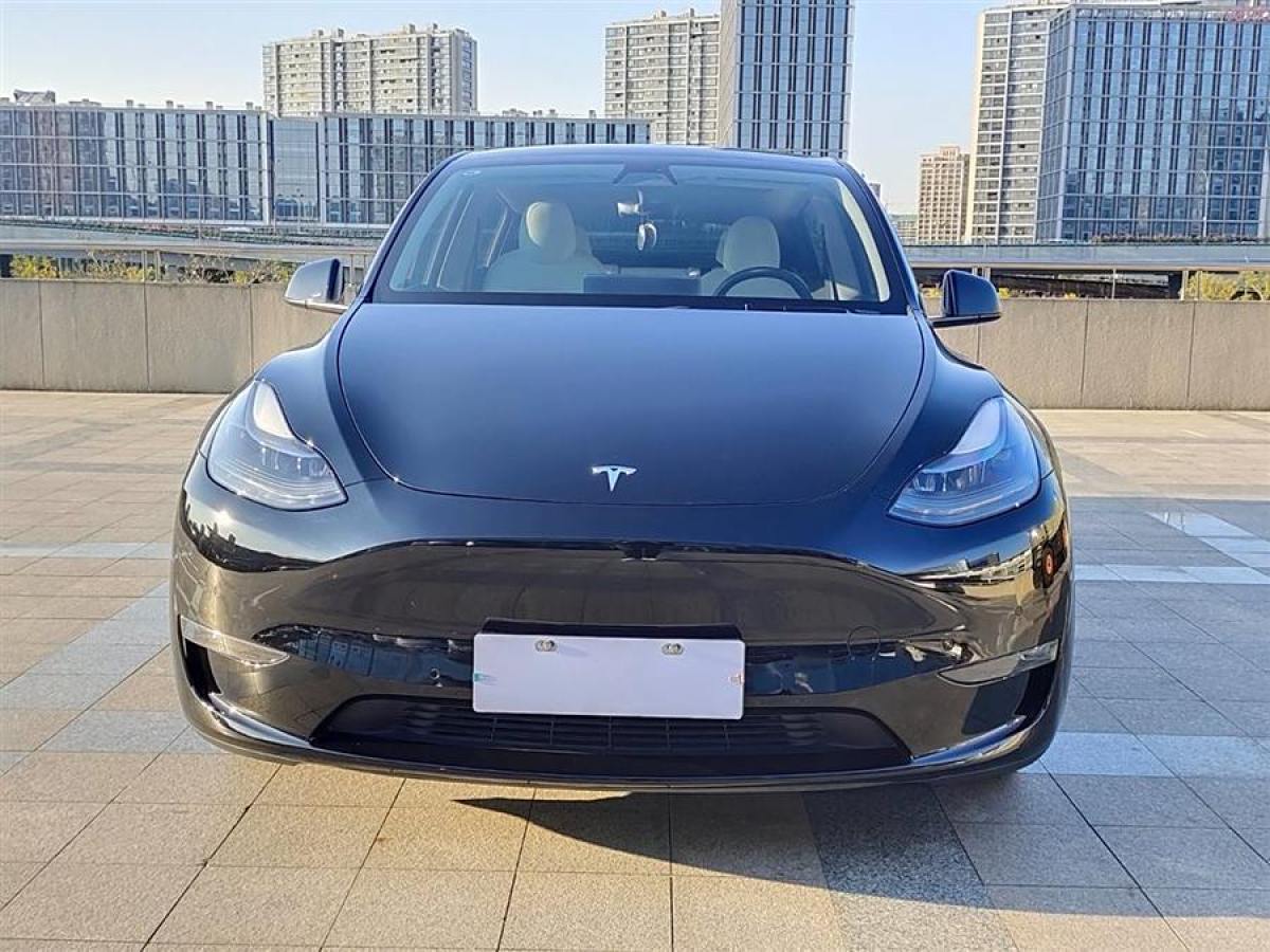 特斯拉 Model 3  2022款 Performance高性能全輪驅(qū)動(dòng)版圖片