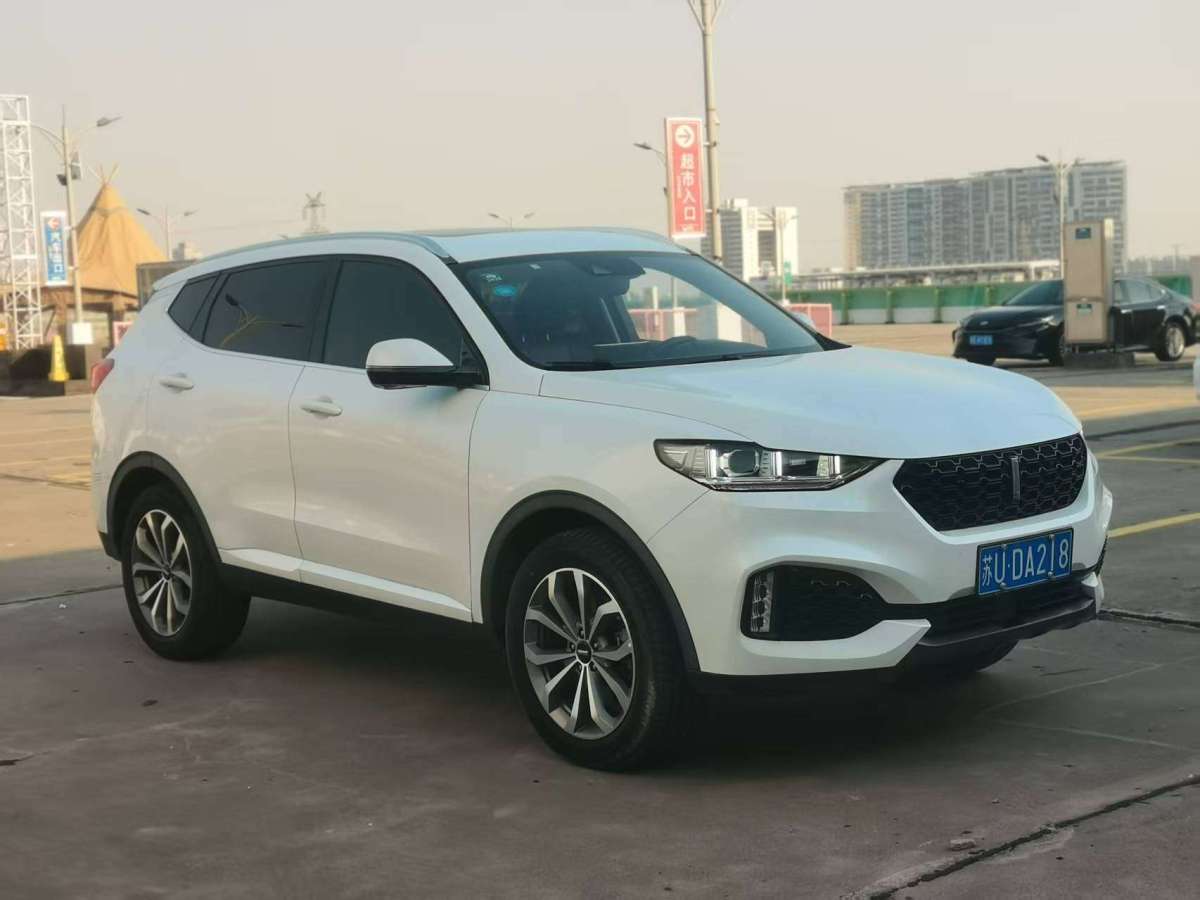 WEY VV6  2019款  2.0T 兩驅(qū)超豪型 國(guó)VI圖片