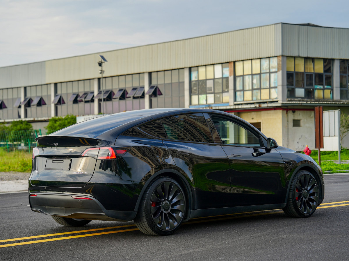 特斯拉 Model Y  2021款 改款 Performance高性能全輪驅(qū)動版圖片