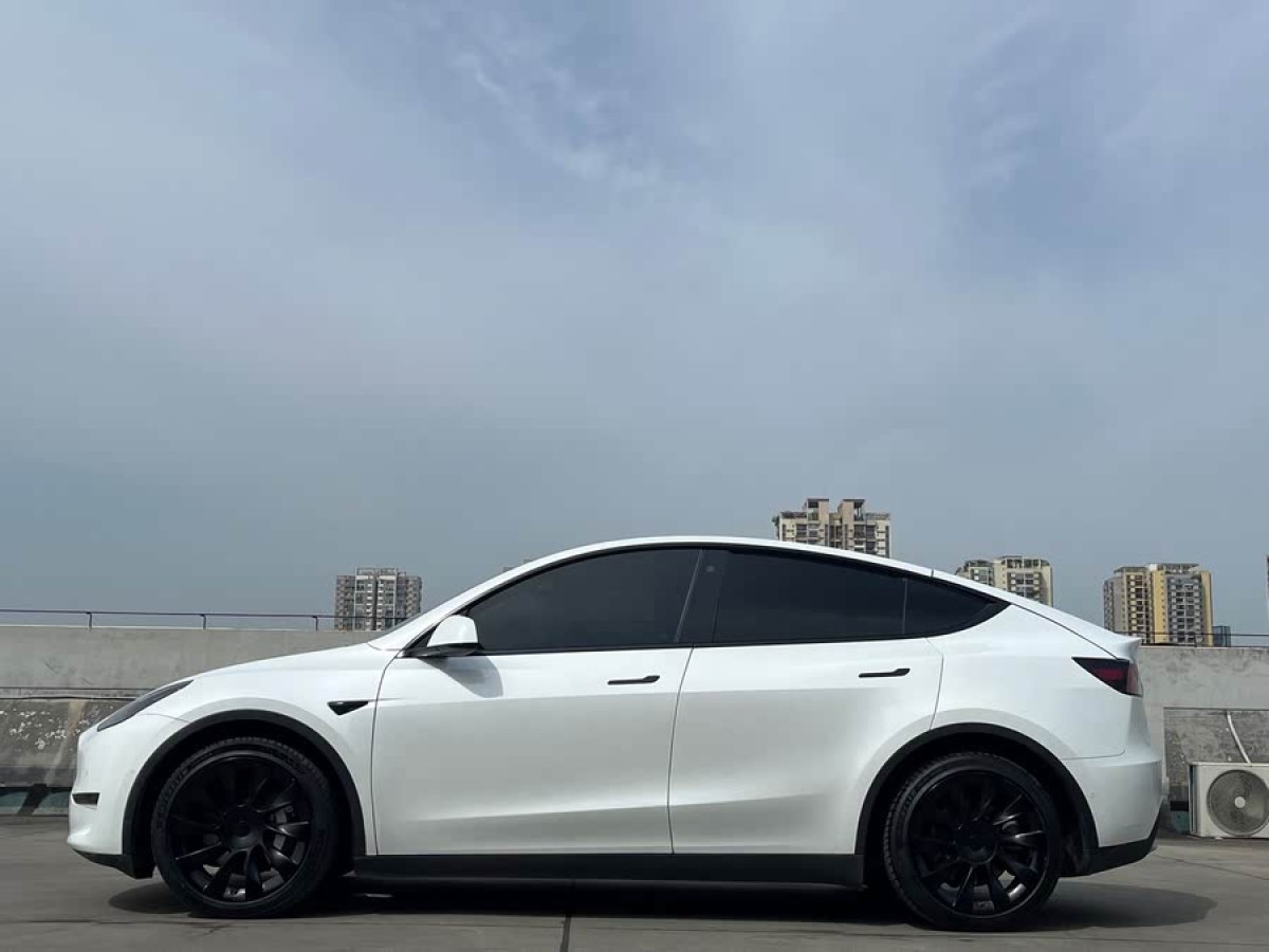 特斯拉 Model Y  2021款 改款 長(zhǎng)續(xù)航全輪驅(qū)動(dòng)版圖片