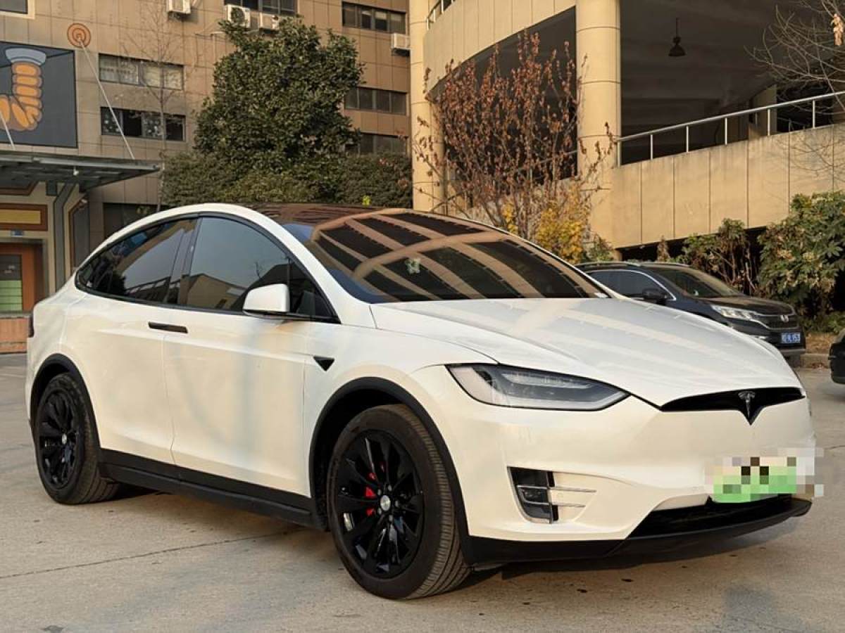 特斯拉 Model X  2017款 Model X 100D 長續(xù)航版圖片