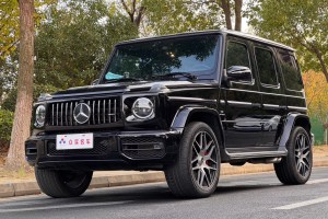 奔驰G级 2019款 G 500  