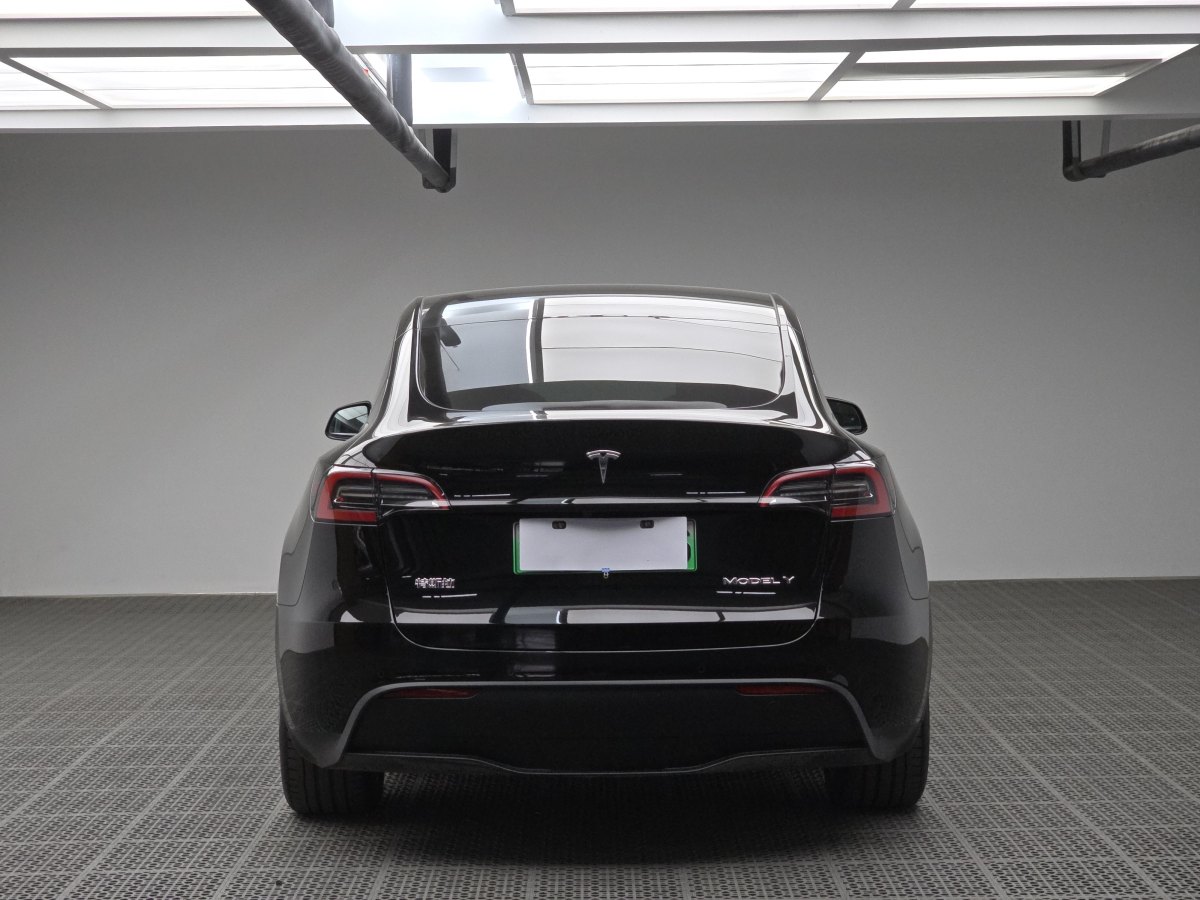 特斯拉 Model Y  2020款 改款 長續(xù)航后輪驅(qū)動版圖片