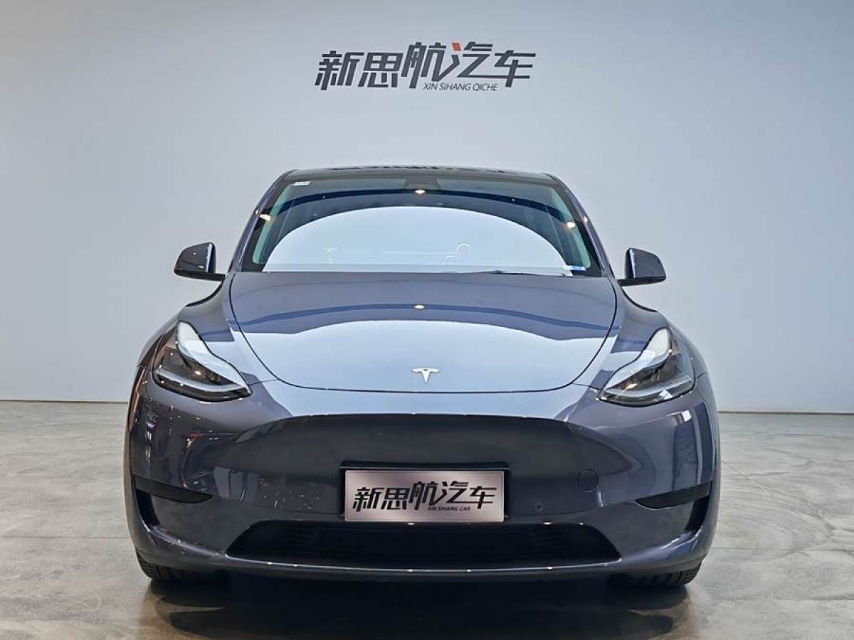 特斯拉 Model 3  2020款 改款 長續(xù)航后輪驅(qū)動(dòng)版圖片