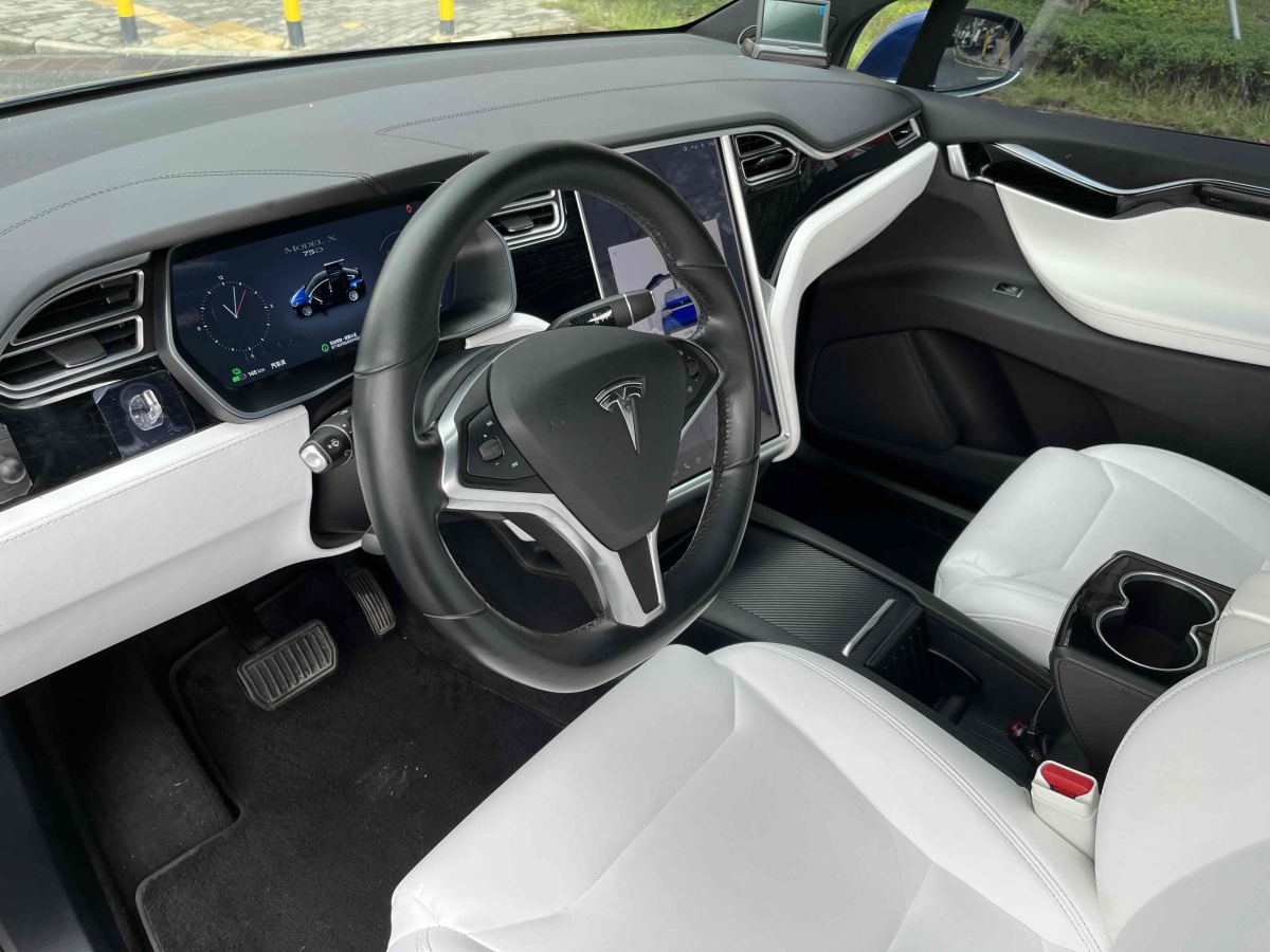 特斯拉 Model X  2016款 Model X 75D圖片