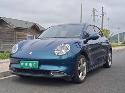 2022年3月 歐拉 歐拉好貓 400km標(biāo)準(zhǔn)續(xù)航 豪華型 磷酸鐵鋰圖片