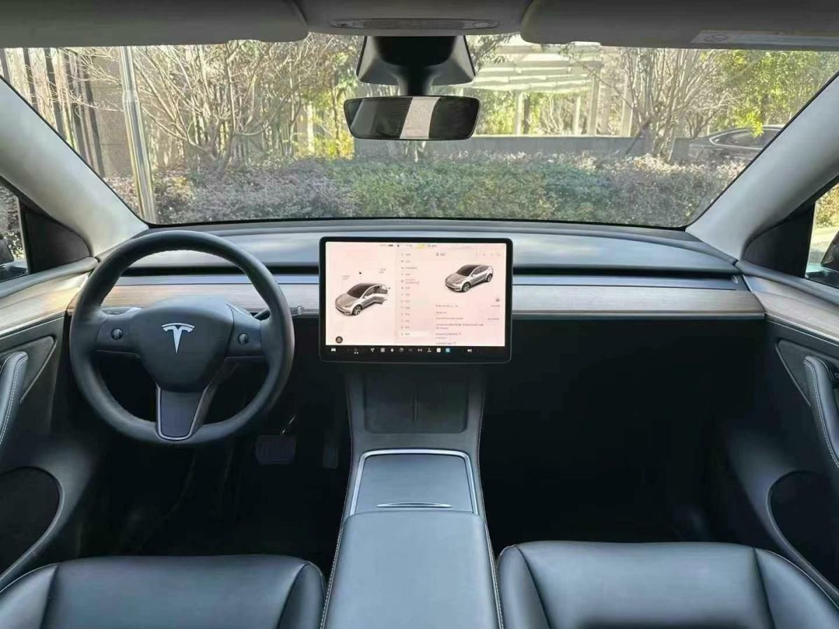 特斯拉 Model Y  2022款 Performance高性能全輪驅(qū)動版圖片