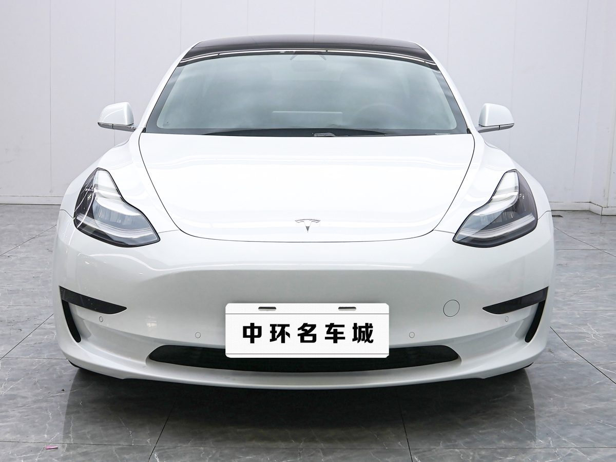 特斯拉 Model 3  2020款 改款 標(biāo)準(zhǔn)續(xù)航后驅(qū)升級(jí)版圖片