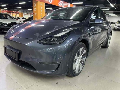 2021年3月 特斯拉 Model Y 長續(xù)航煥新版 雙電機(jī)全輪驅(qū)動圖片