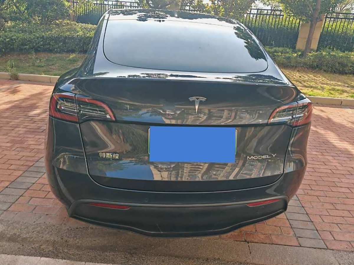 特斯拉 Model Y  2021款 改款 標準續(xù)航后驅升級版圖片