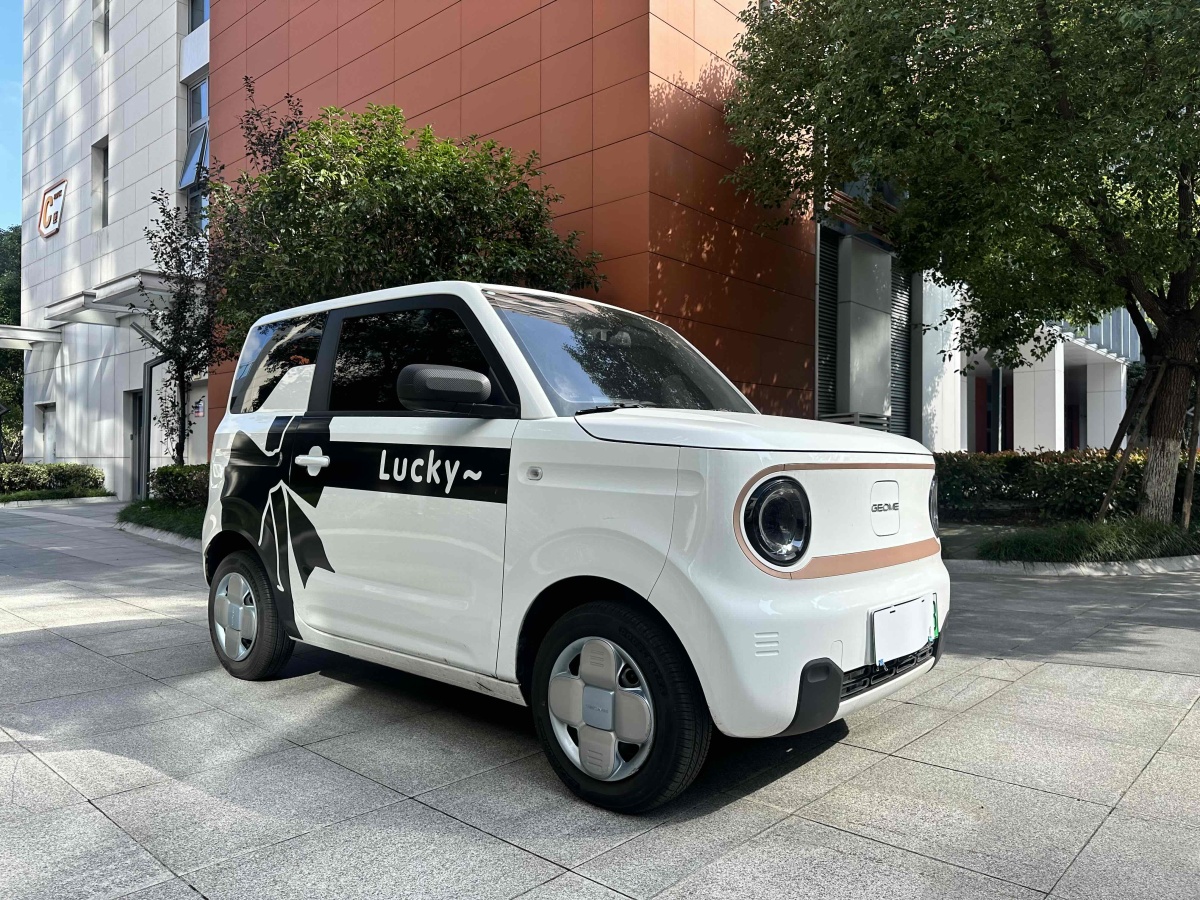 2023年12月吉利 熊貓mini  2023款 200km 耐力熊