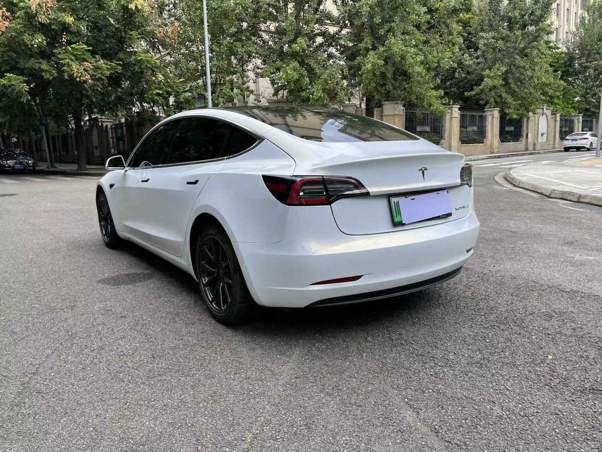 特斯拉 Model 3  2019款 標(biāo)準(zhǔn)續(xù)航后驅(qū)升級版圖片