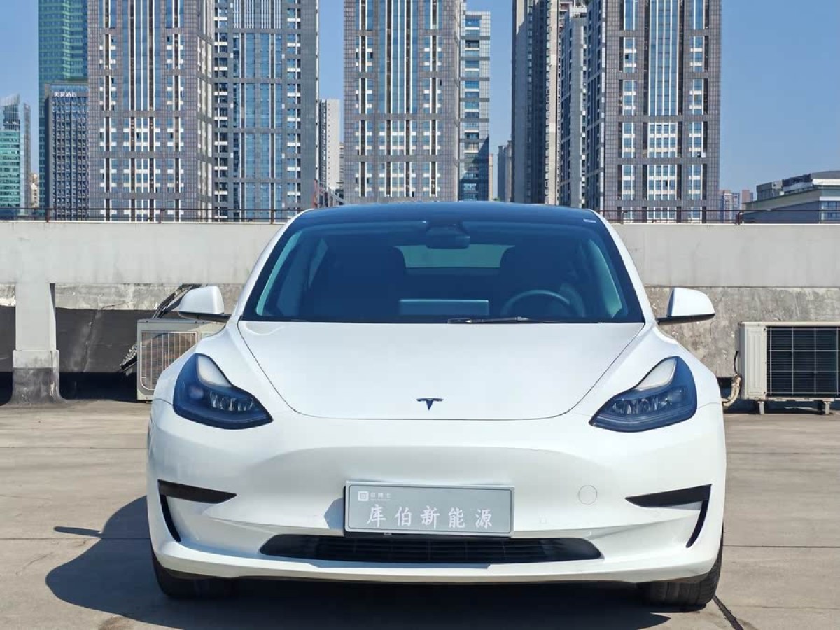 特斯拉 Model 3  2021款 改款 標(biāo)準(zhǔn)續(xù)航后驅(qū)升級(jí)版圖片