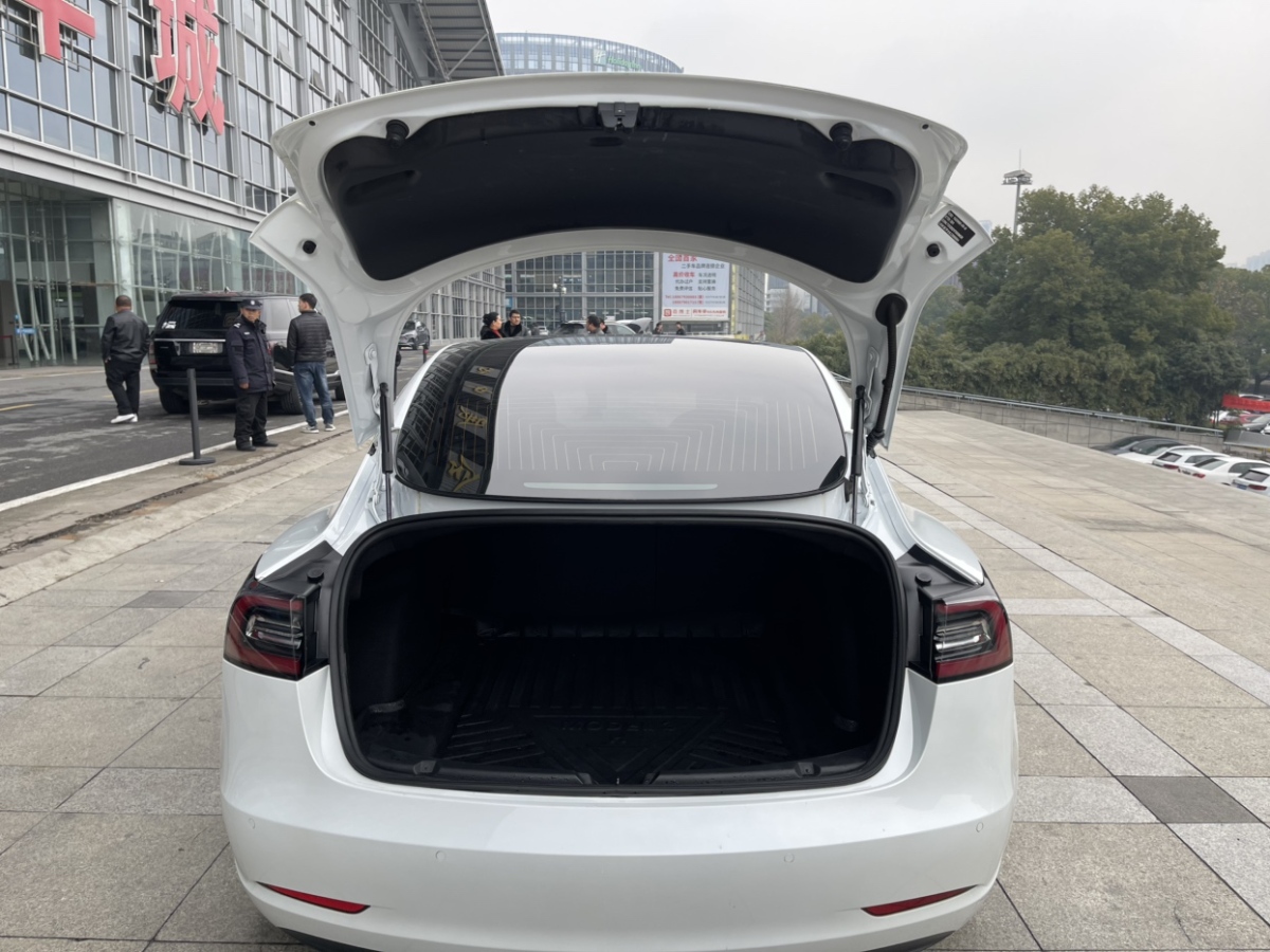 特斯拉 Model 3  2020款 標準續(xù)航后驅升級版圖片