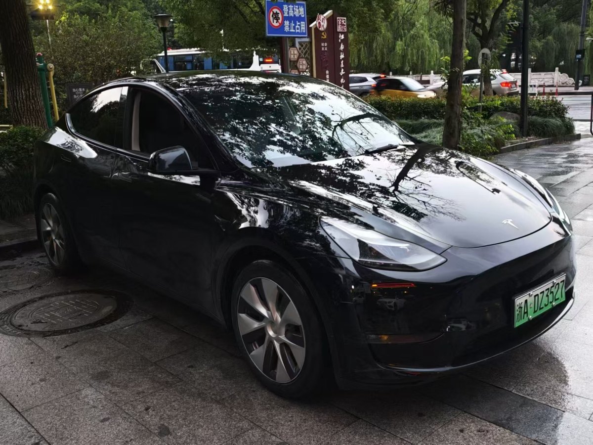 特斯拉 Model Y  2021款 改款 標(biāo)準(zhǔn)續(xù)航后驅(qū)升級(jí)版圖片