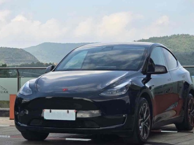 2021年10月 特斯拉 Model Y 改款 標準續(xù)航后驅升級版圖片