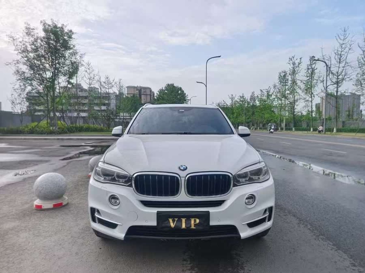 寶馬 寶馬X5  2014款 xDrive35i 典雅型圖片