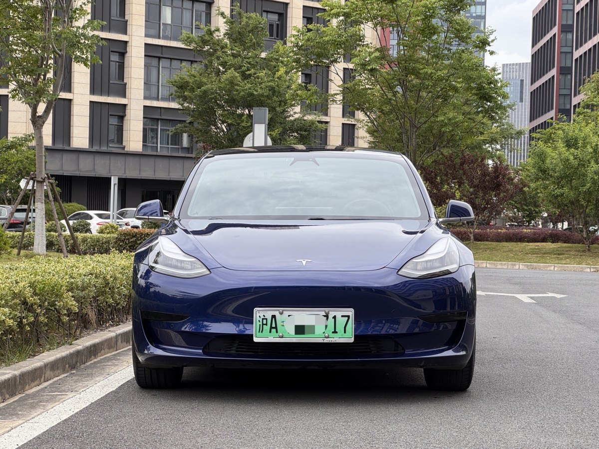 特斯拉 Model 3  2020款 改款 標準續(xù)航后驅(qū)升級版圖片