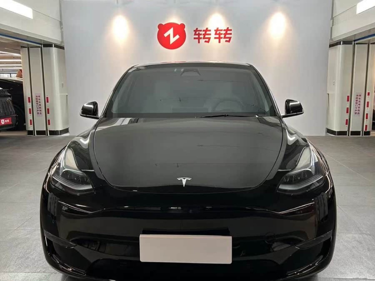 特斯拉 Model Y  2022款 Performance高性能全輪驅(qū)動版圖片