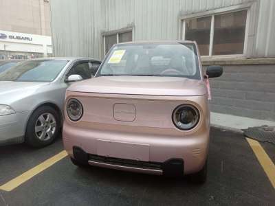 2025年3月 吉利 熊貓mini 熊貓mini 200km 耐力熊圖片