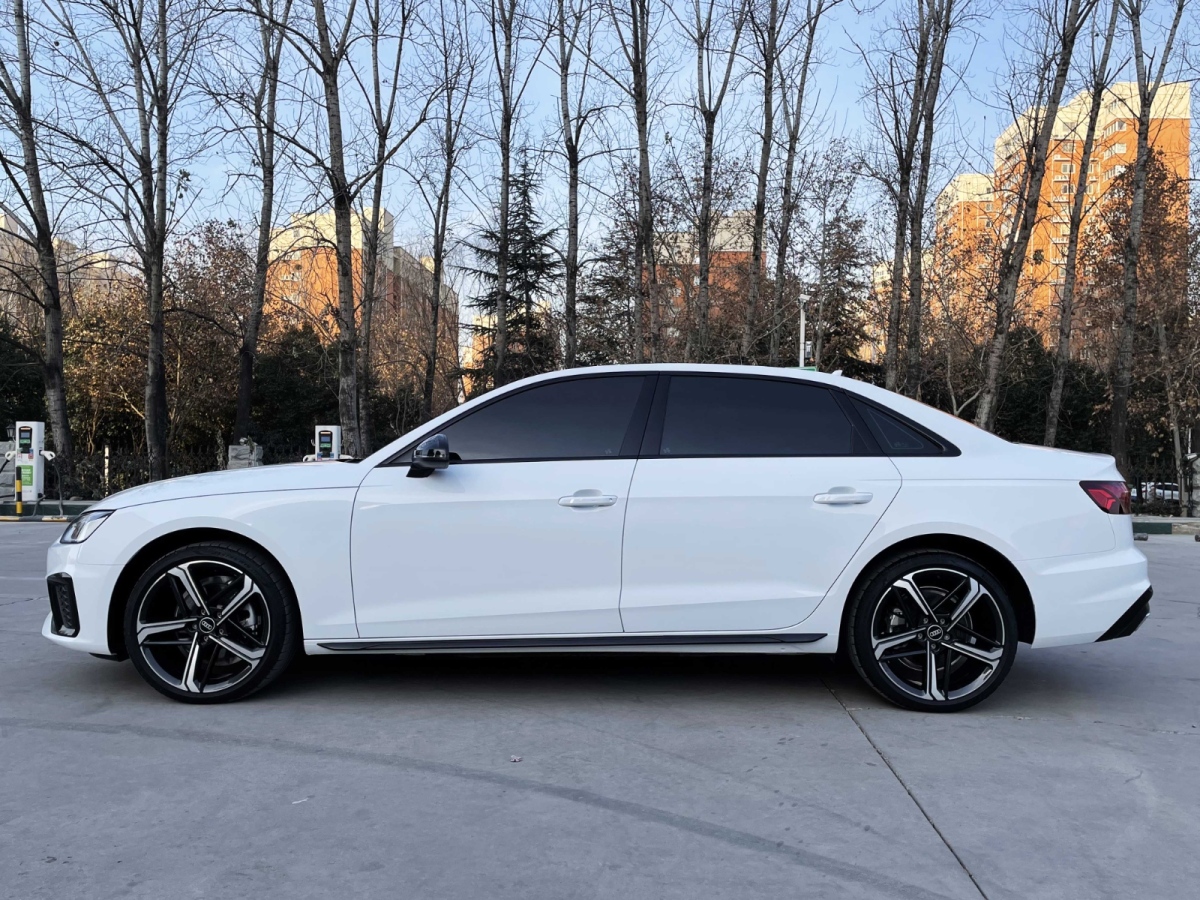 奧迪 奧迪A4L  2024款 40 TFSI 豪華動感型圖片