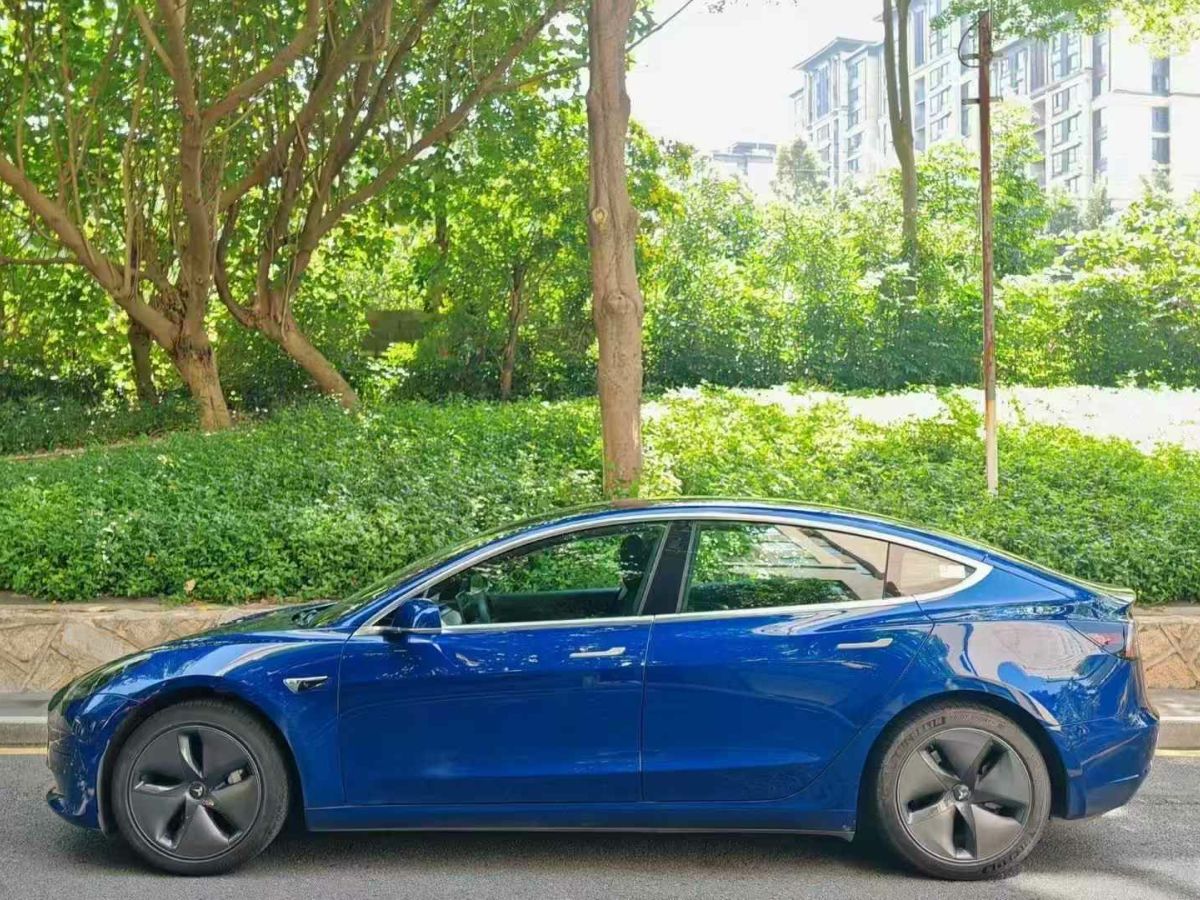 特斯拉 Model X  2020款 Performance 高性能版圖片