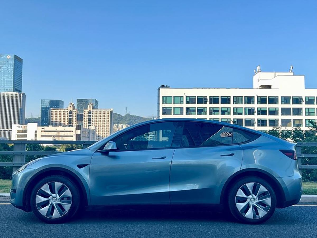 特斯拉 Model Y  2020款 改款 長續(xù)航后輪驅(qū)動(dòng)版圖片