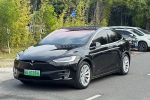 Model X 特斯拉 Model X P100D Performance高性能版