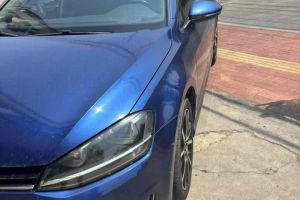 高爾夫 大眾 1.6L 自動時尚型